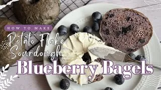 Thumbnail: Potato Flake Sourdough Blueberry Bagels - How to Make