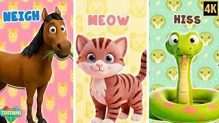 Thumbnail: Animal Sound Song Kindergarten Videos for Children Learning Videos for Kids