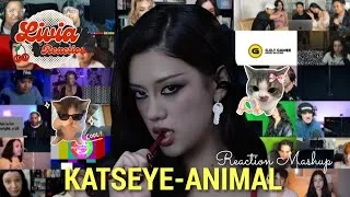 Thumbnail: KATSEYE "ANIMAL" REACTION MASHUP VIDEO