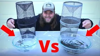 Thumbnail: Minnow Trapping - Black Vs Silver Trap (400+ Caught!)