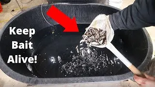 Thumbnail: Keep Bait Alive ALL Winter Long! (How to Minnow Tank Build DIY)