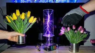Thumbnail: Giant Tulip Bouquet Battles the Tesla coil ⚡ #experiment #physics