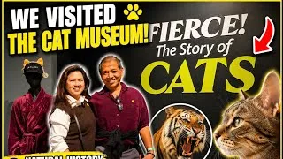 Thumbnail: 🐱 WE VISITED THE CAT MUSEUM!😲 Inside LA's Fiercest Cat Exhibit!