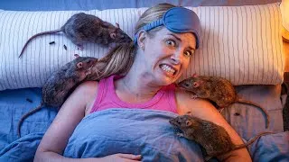 Thumbnail: We Found Rats in Our House…