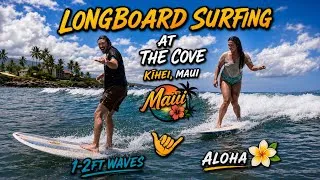 Thumbnail: Surf Vlog #72 | Longboard Surfing at The Cove, Kihei Maui Perfect 1-2ft Waves 
