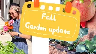 Thumbnail: Fall Garden Update | What I Grow for Winter | California Suburb Living | Sustainable Living