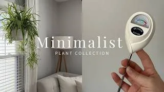 Thumbnail: Minimalist plant collection & care