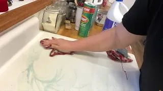 Thumbnail: Your Sink Doesn't Have To Look Like This!