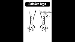 Thumbnail: Calisthenics myths debunked | Separating the fact from the friction