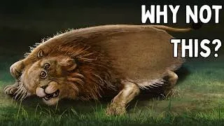 Thumbnail: Why 99% Of Animals Are Symmetrical (And Why 1% Aren't)