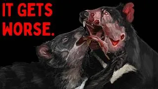 Thumbnail: Tasmanian Devil: The Animal Going Extinct Because Of Cancer