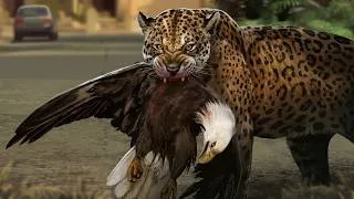 Thumbnail: America Might Soon Have A New Big Cat Species