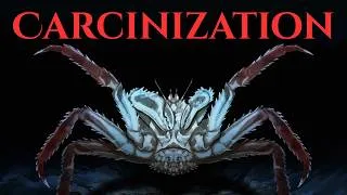 Thumbnail: Why All Roads Lead To Crab