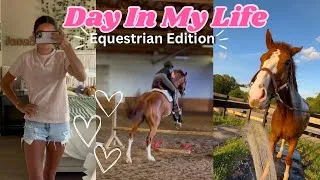 Thumbnail: DIML as an Equestrian! @Olivia-nr9vm 