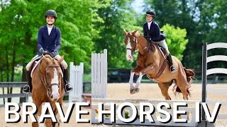 Thumbnail: Brave Horse lV Show Vlog 2026! From falling to Reserve Champion! 