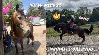 Thumbnail: WEEK IN THE LIFE WITH A NEW PONY!