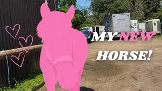 Thumbnail: MEET MY NEW PONY!