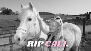 Thumbnail: We Lost Cali.