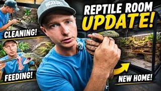 Thumbnail: Moving my CROCODILE MONITOR! - (Cage Upgrade)