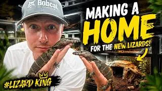 Thumbnail: Adding Not One But Two Lizards To My Collection! #lizardking