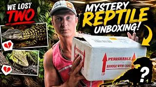 Thumbnail: ( Sad Loss...) + New Monitor Unboxing - What did we get??? #lizardking