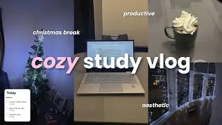Thumbnail: study vlog ☕️ | christmas eve study day as a medical student, getting out of a slump (realistic)