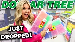 Thumbnail: 25 Dollar Tree Dupes Too Good to Ignore