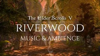 Thumbnail: Relaxing Skyrim Music & Ambience | Day in Riverwood