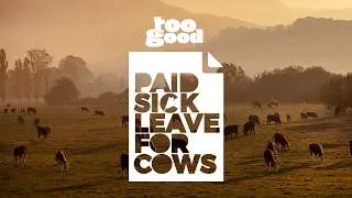 Thumbnail: Too Good - Paid Sick Leave For Cows (case study)