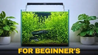 Thumbnail: Basic planted Tank Setup For Beginners | Low-Tech Aquarium Setup Easy Steps
