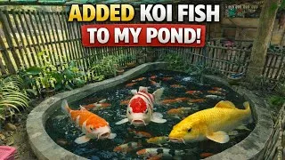 Thumbnail:  50+ Premium Japanese Koi Fish  | Dream Pond Looks Like Japan | Giveaway Winner Revealed 🎉
