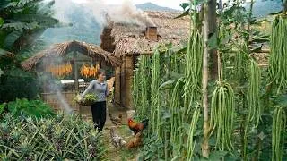 Thumbnail: Harvest pineapples and green beans from the garden to sell. Renovate the garden and plant a new crop