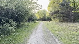 Thumbnail: Soft footsteps through the reserve's calm