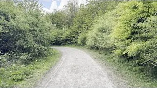 Thumbnail: Along the quiet paths of the nature reserve