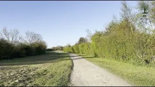 Thumbnail: Field path stretching into the calm
