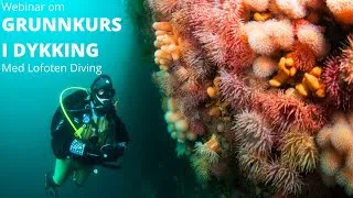 Thumbnail: Webinar on Grunnkurs i Dykking.