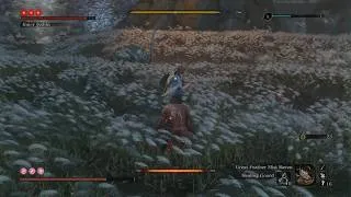 Thumbnail: Sekiro Best boss is literally anime😍