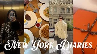 Thumbnail: New York Diaries | weekend vlog, Hermes birkin unboxing, transitional spring outfits