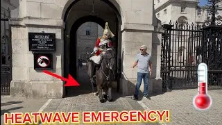 Thumbnail:  ☀️ HEATWAVE CHAOS! Royal Horse Collapses 🥵— Guard Presses Emergency Button🚨