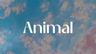 Thumbnail: KATSEYE - Animal (Lyrics)