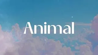 Thumbnail: KATSEYE - Animal (Lyrics)