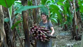 Thumbnail: Beauty Banana – A Banana with Both Looks and Flavor