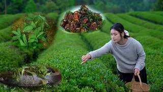 Thumbnail: From Leaves to a Table Full of Dishes: Only Tea Can Do This