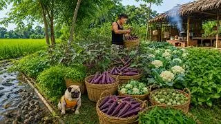 Thumbnail: Harvest And Sell Cauliflower, Sweet Leaf, Red Okra, And Sweet Green Eggplants - Slow, Peaceful Life