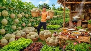 Thumbnail: Harvest Muskmelons To Sell At The Market - Make Muskmelon Tea + Plant Green And Purple Lettuce