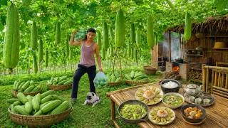Thumbnail: Harvest Loofah Gourds To Sell At The Local Market - Cook Delicious Dishes With Loofah - Solo Farming