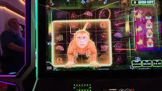 Thumbnail: Monkey Bucks bonus had us going banana's!