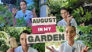 Thumbnail: August In My Garden