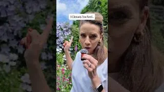 Thumbnail: Untitled
