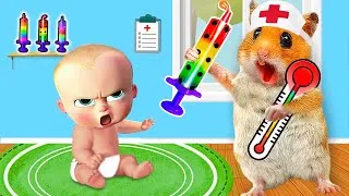 Thumbnail: Hamster Pretend A Doctor Check Up Bro Got Sick & escape Amazing Maze Challenge | Life Of Pets HamHam